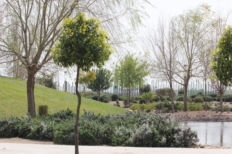 Desinfección preventiva de las zonas más húmedas del municipio contra el mosquito del Nilo