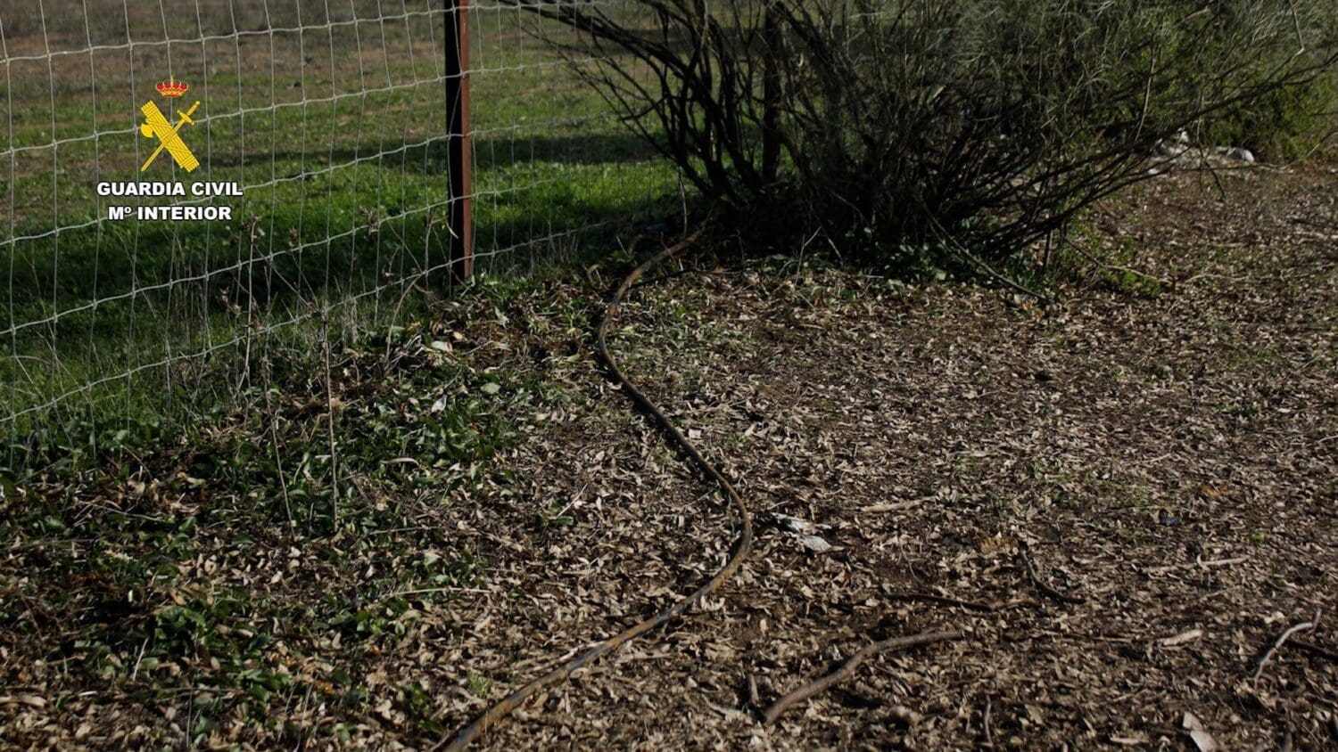 Desarticulada una organización criminal dedicada a la sustracción de carburante mediante la perforación de oleoductos