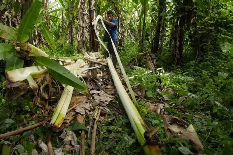 Las víctimas de esclavitud en Ecuador deben recibir reparación