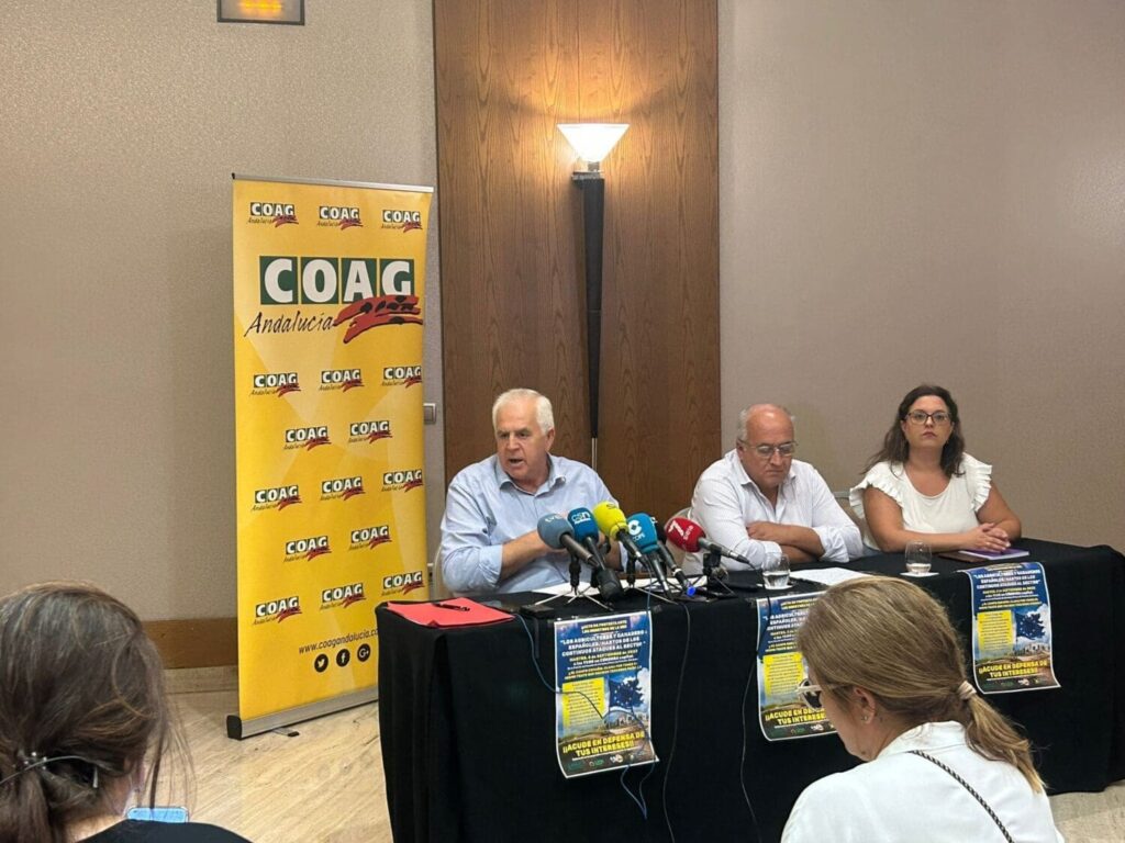 De iz a dch.MIGUEL PADILLA, MIGUEL LÓPEZ y CARMEN QUINTERO