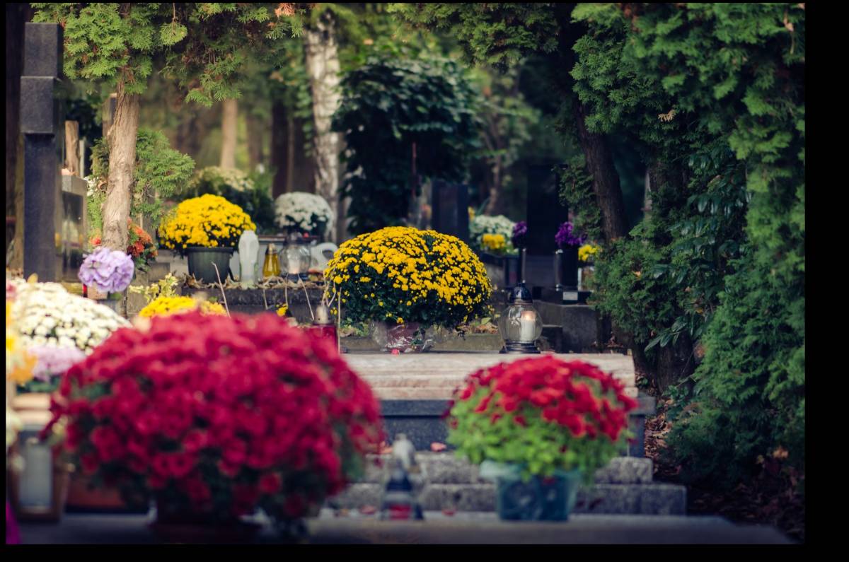 «Nuestros floricultores necesitan el apoyo de todos, ahora más que nunca»: COAG pide que se compren flores frescas andaluzas por los santos