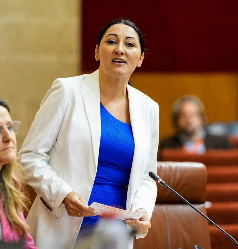 Por Andalucía acusa a la Junta de complicidad con los discursos de odio neofascistas y permitir la exaltación del franquismo