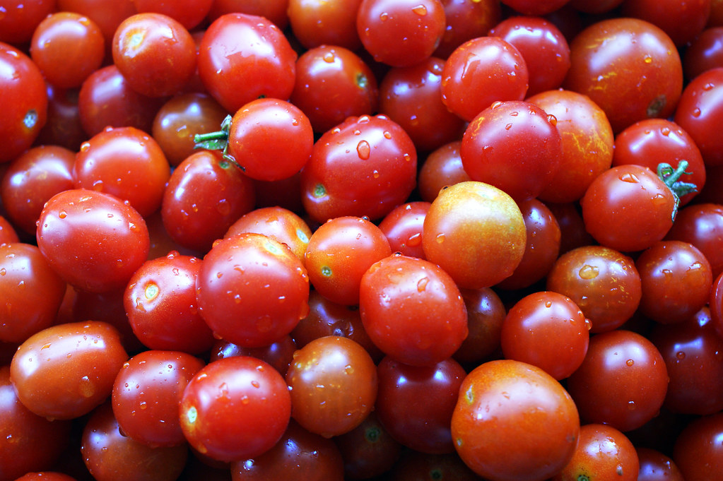 Tomates sin origen: el reetiquetado del cherry del Sáhara para venderlo como «origen Marruecos»