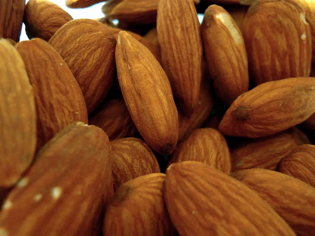 Aranceles en diferido: la trampa perfecta para reventar el mercado de la almendra española