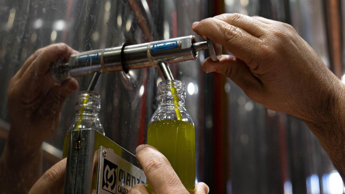 PP-A considera que los aranceles estadounidenses son amenazantes para varios sectores