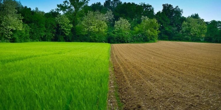 Generales 2023: El barbecho militante