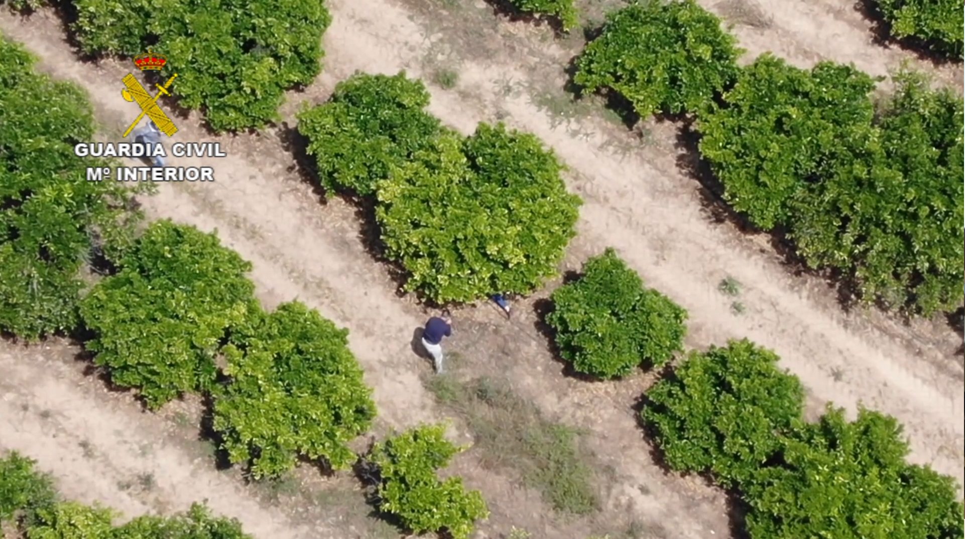 Detenido un narcotraficante tras meses de huida