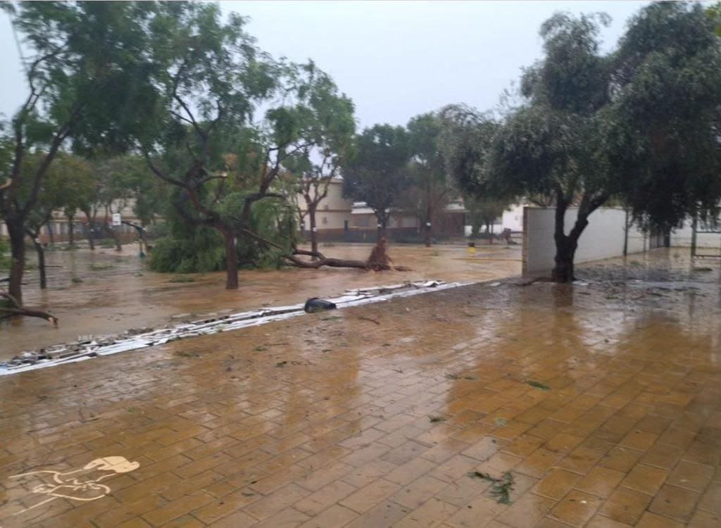 Muro del CEIP Gualdalquivir