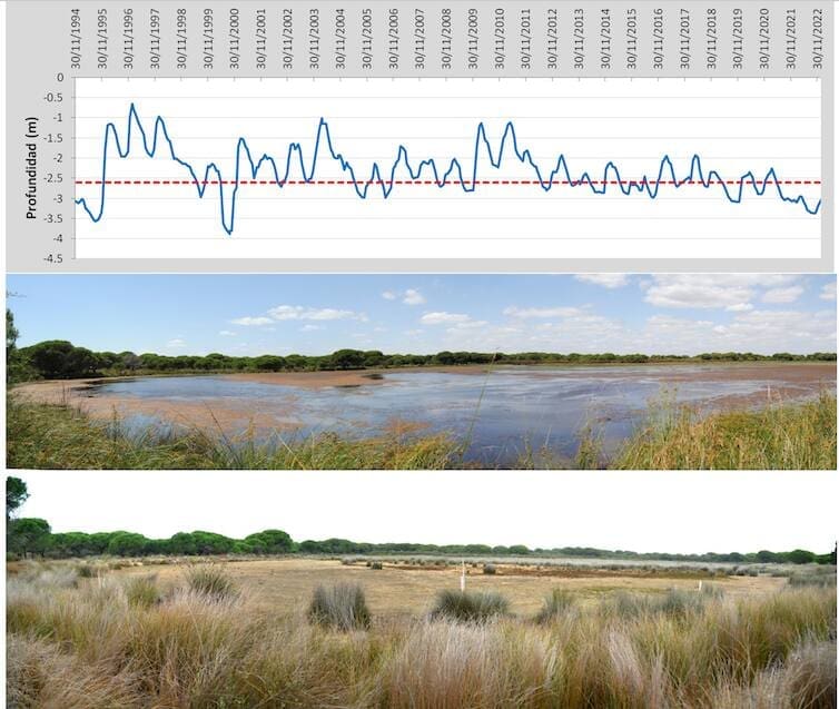 Arriba: valores del piezómetro situado junto a la laguna del Zahillo. La línea roja marca el fondo de la laguna. Hasta el 2011, había años en que la laguna no llegaba a secarse en verano. Desde 2012, la laguna no alcanza los niveles máximos anteriores, y solo se inundan dos pequeñas áreas separadas en el interior de la cubeta. Abajo: fotos de la laguna del Zahillo en junio de 2011 y octubre de 2022.