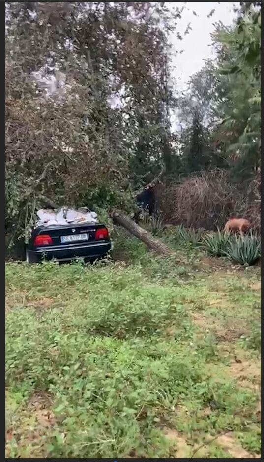 Vecinos del camino del Parpagón en Utrera reclaman ayuda tras la solicitud de zona catastrófica