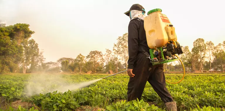 COAG: «Están entrando alimentos importados con clorpirifós, un insecticida prohibido que provoca cáncer de mama. Nos están envenenando para que algunos se enriquezcan»
