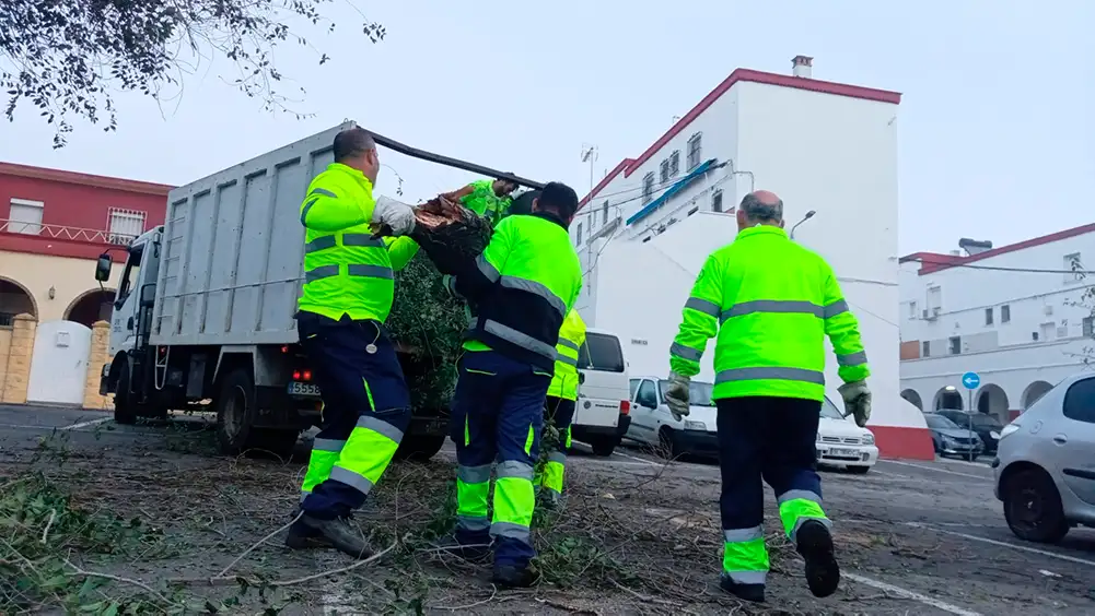 Operarios retirando un árbol caído