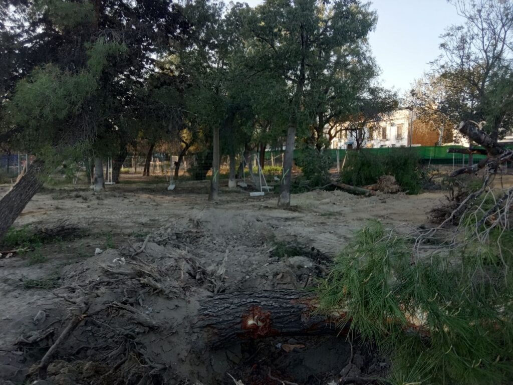 Arboles señalados (con una X) para ser talados o arrancados