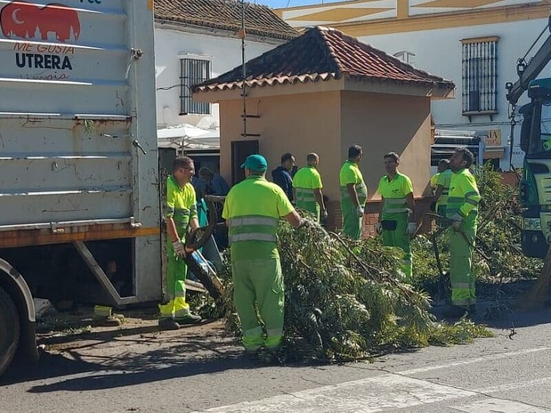 Efectos del temporal