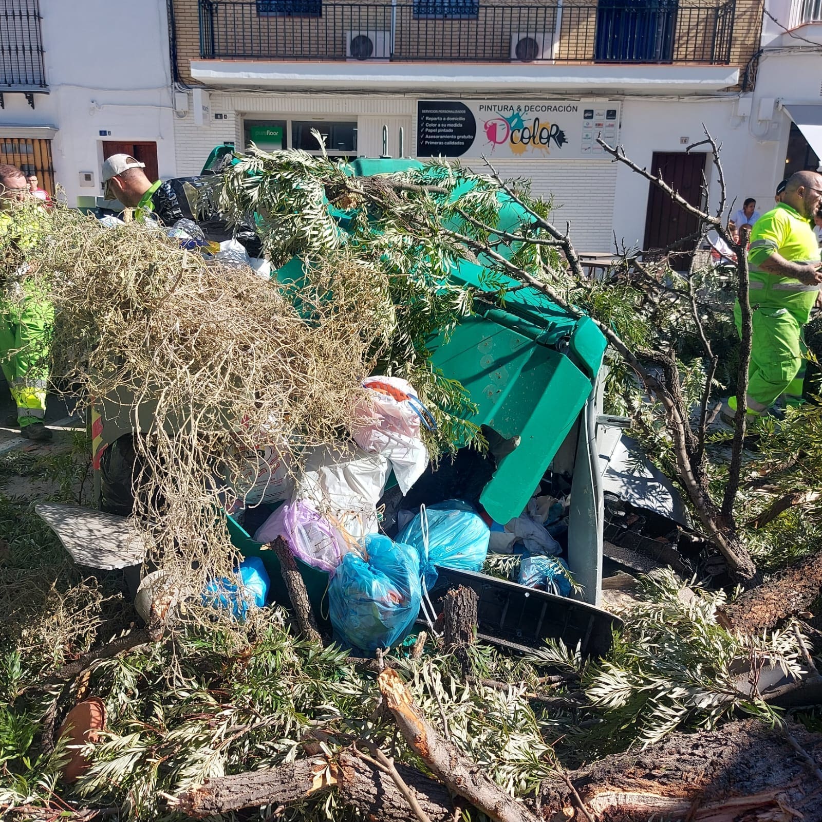 Utrera solicitará la declaración de zona catastrófica por los efectos del temporal