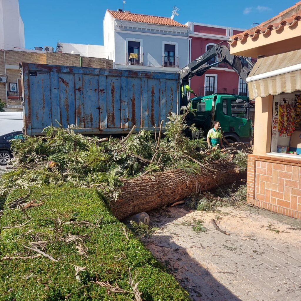 Efectos del temporal