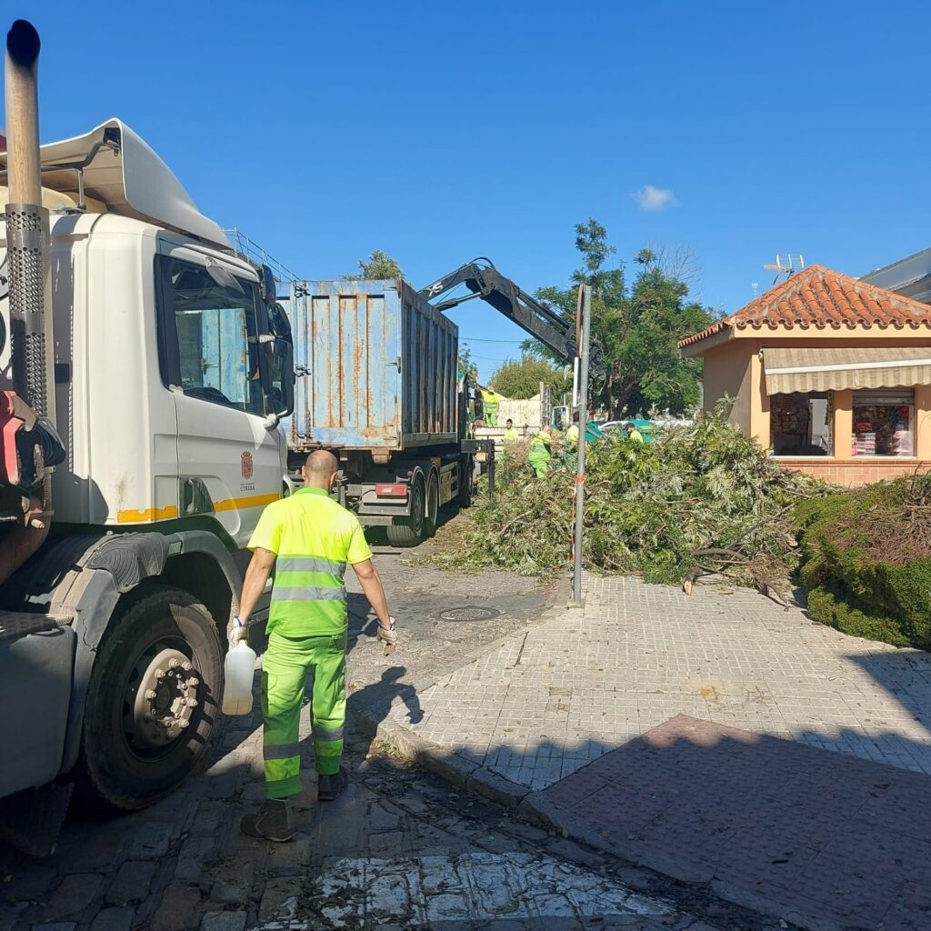 Efectos del temporal