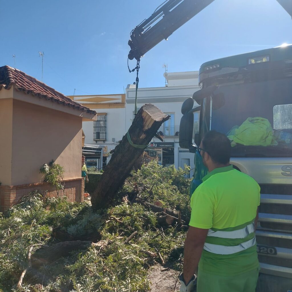 Efectos del temporal