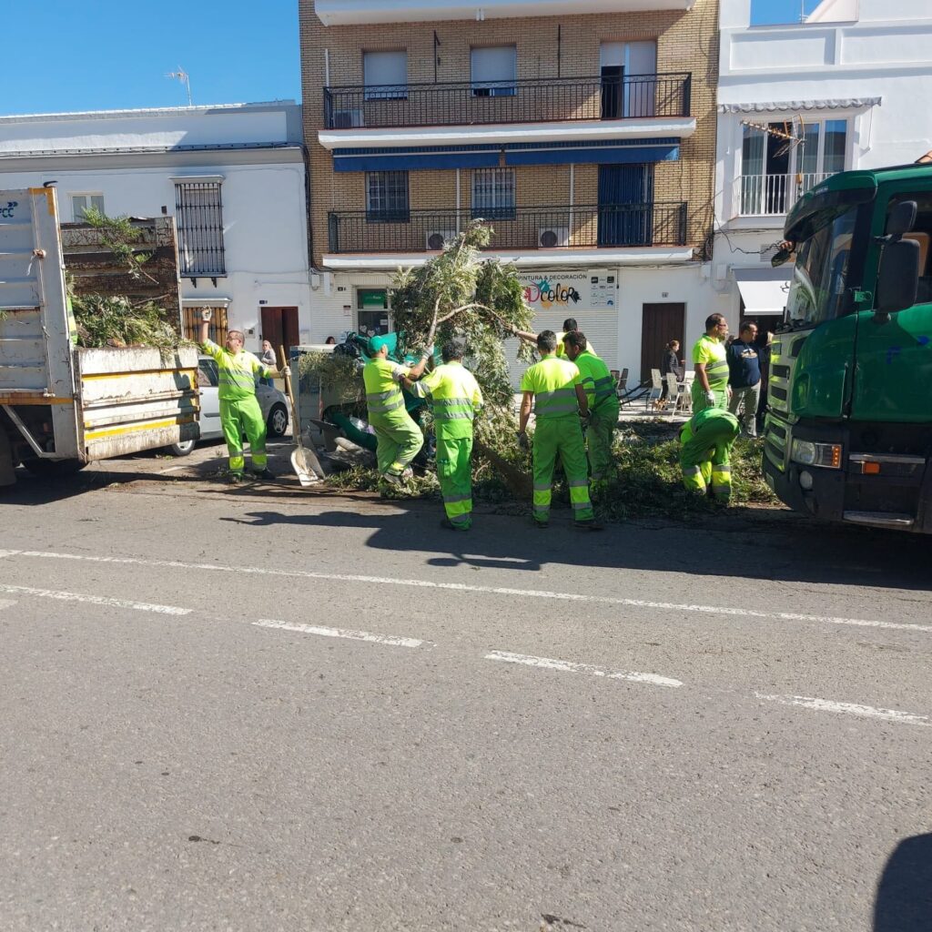Efectos del temporal
