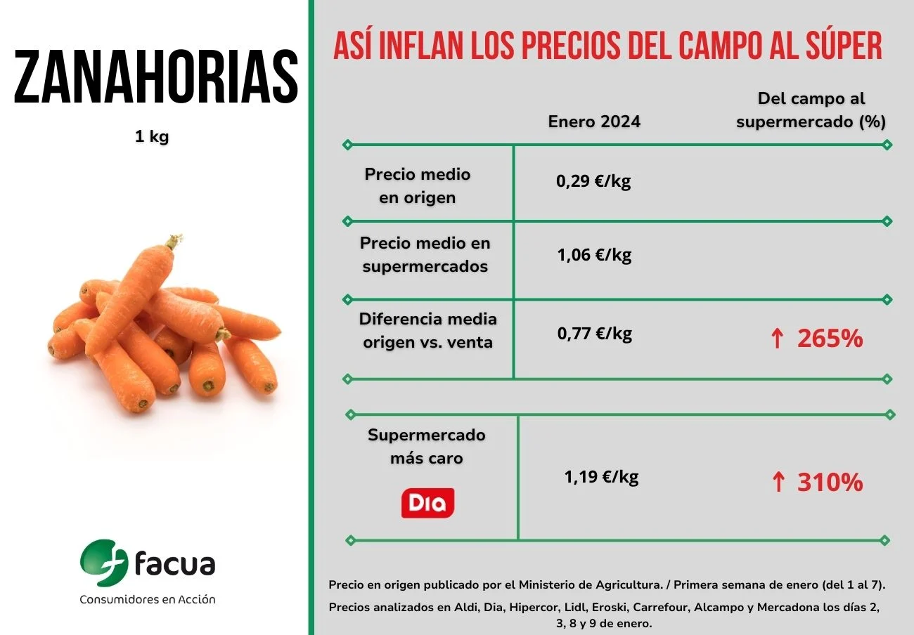 Zanahorias