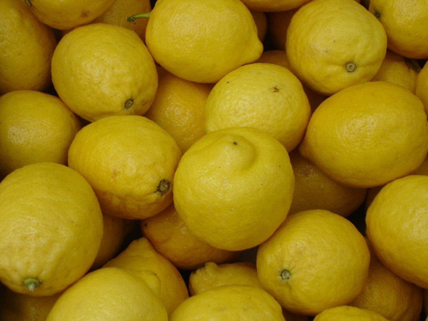 Precios: El limón, el más castigado en su precio en origen