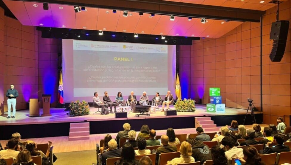 Expertos piden soluciones «basadas en la naturaleza» para la Amazonia