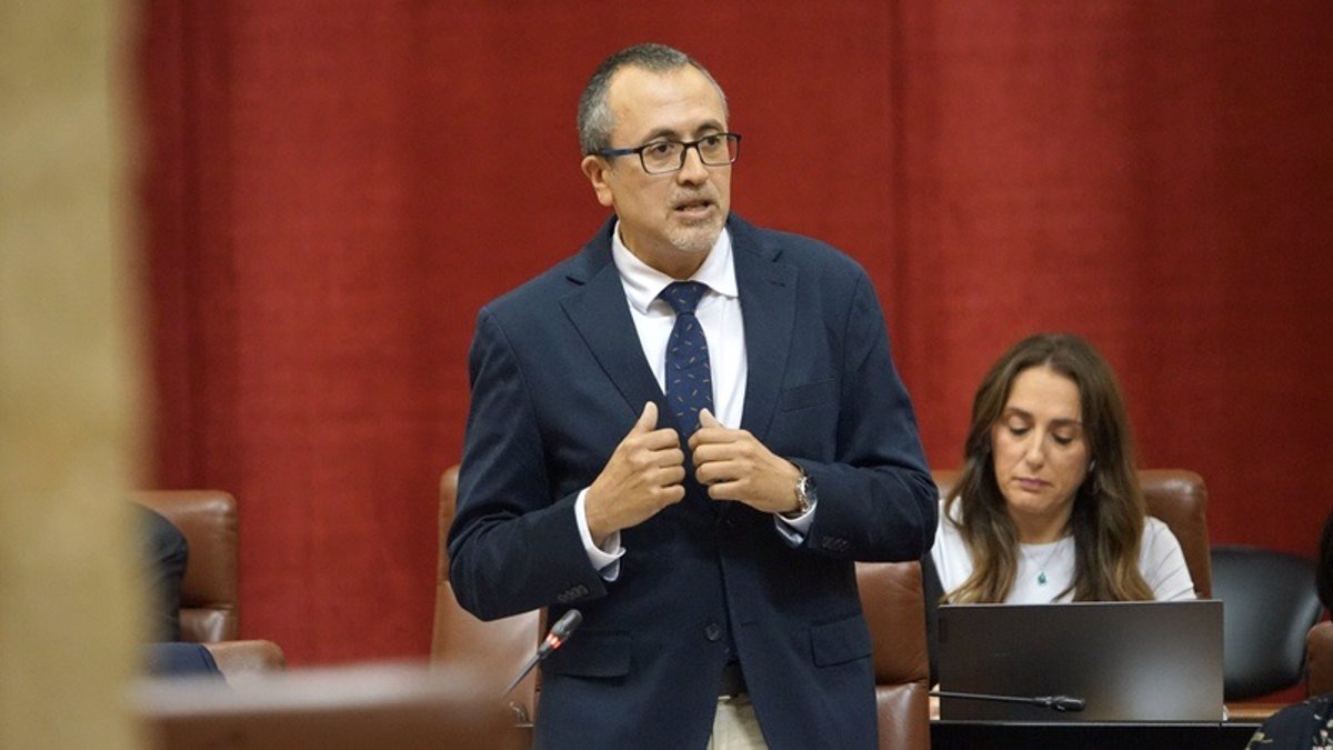 PP reivindica la mejora de la A-306 como «un paso que acerca su conversión en autovía»