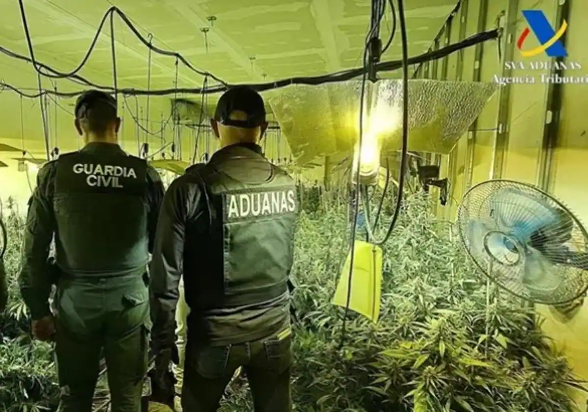 Siete detenidos tras la desarticulación de varios centros de producción de marihuana en la provincia de Granada