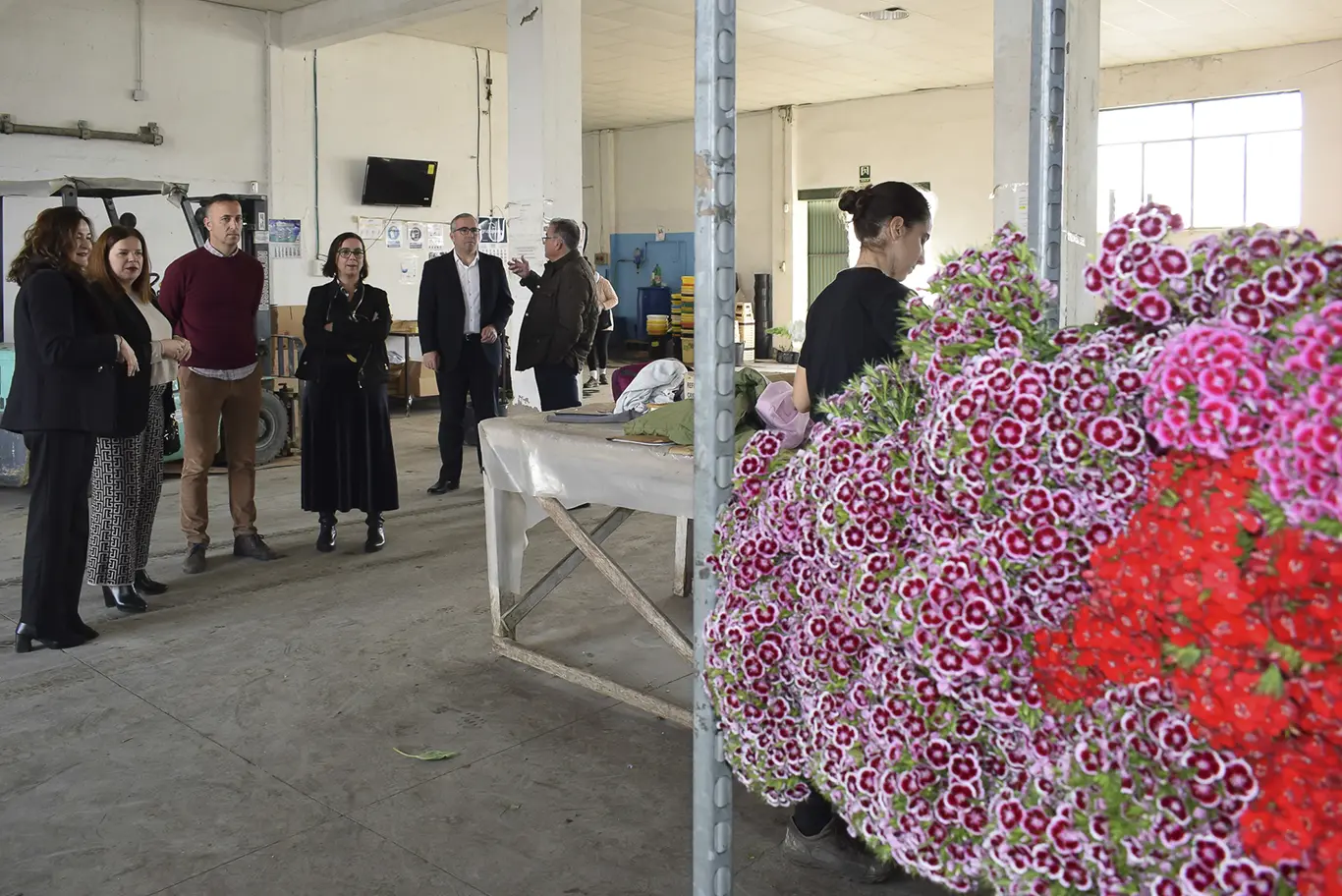 Rosas de Sevilla cumple medio siglo en Los Palacios