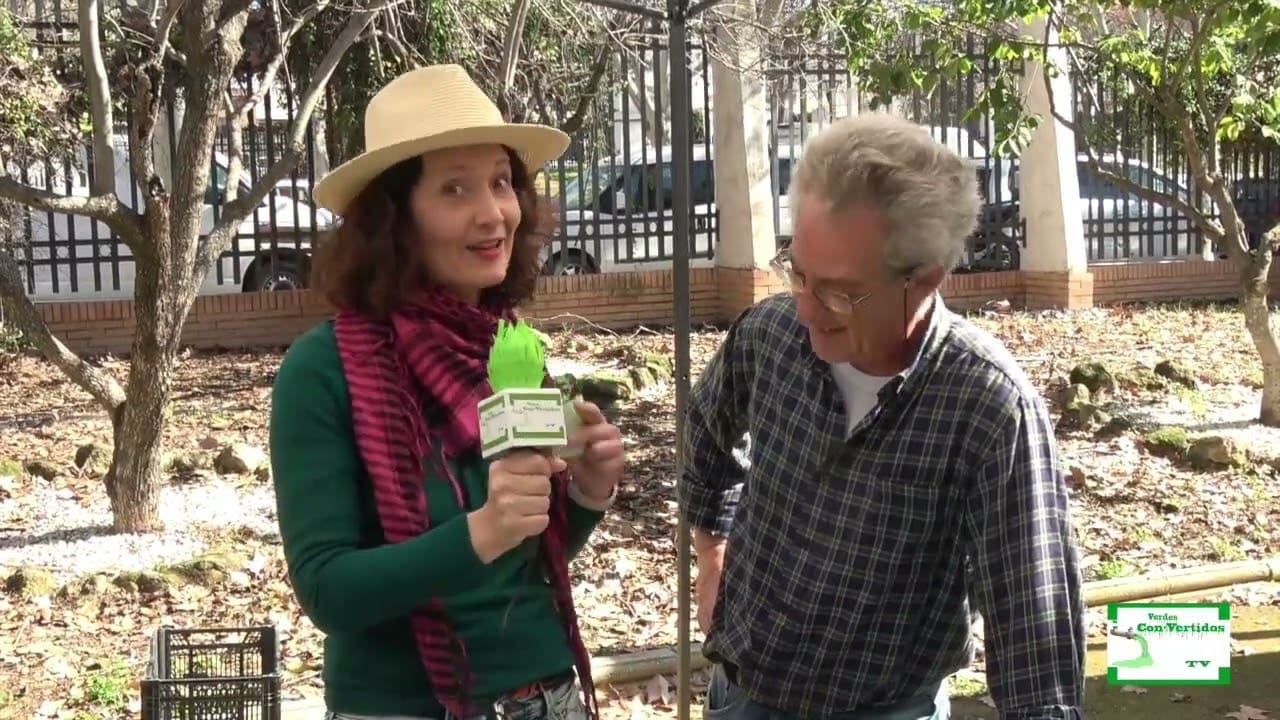Verdes Con-Vertidos: Entrevistas en el Mercado Agroecológico del Aljarafe