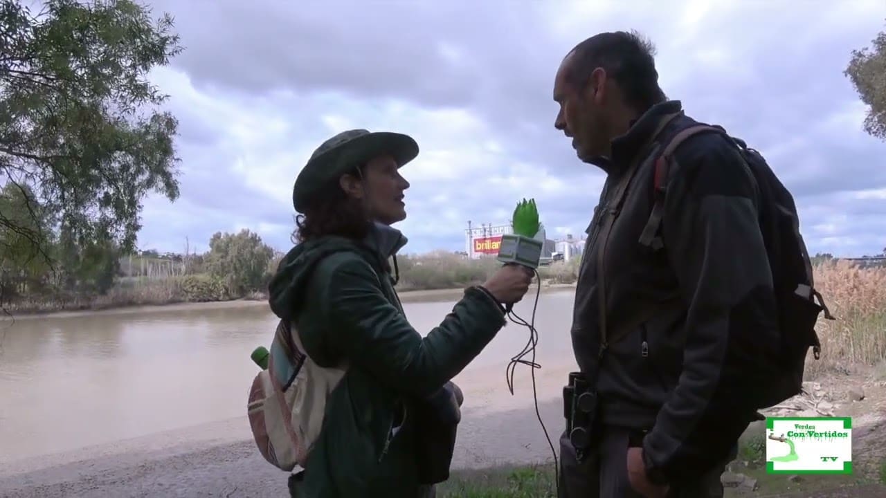 Verdes Con-Vertidos: Visita guiada a la Dehesa de Tablada