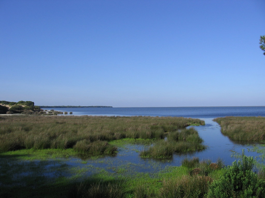 La Unesco da un ultimátum a España por Doñana: se protege o será patrimonio en peligro