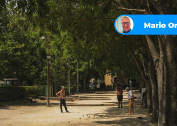 bosque mo