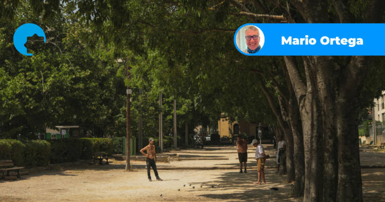 bosque mo