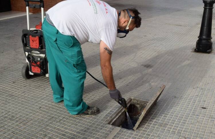 sevilla. los palacios refuerza la inspección de imbornales para frenar la proliferación del mosquito del nilo