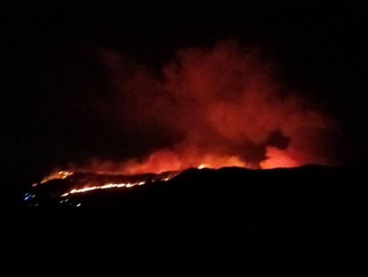 sucesos. andalucía declara el nivel 1 de emergencia por un incendio que afecta a bedar y lubrín (almería)