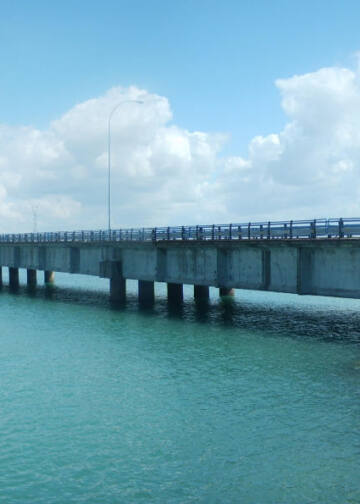 puente jose leon de carranza