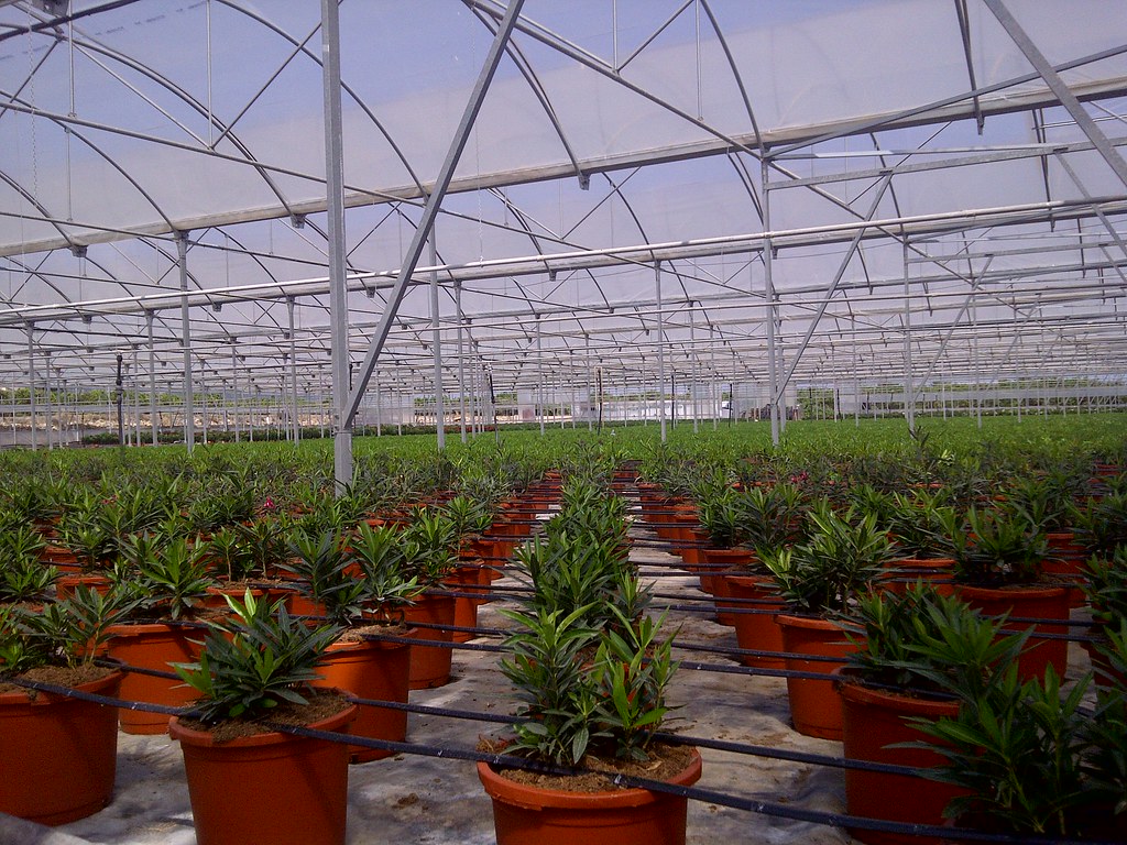 La otra cara de la verdad de los jornaleros migrantes