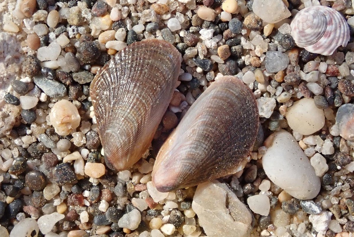 fotonoticia 20250909112624 1200 1