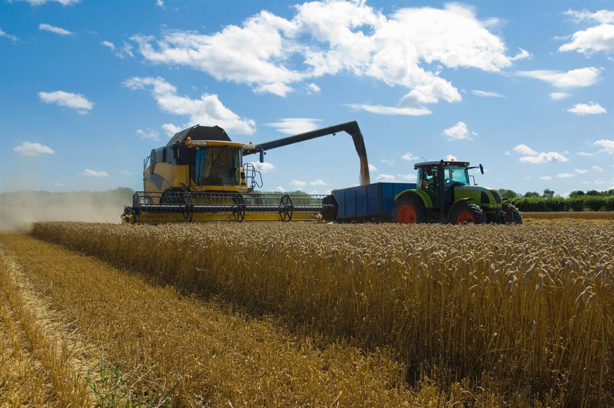 Los agricultores y ganaderos andaluces percibirán 765 millones en pagos anticipados de las ayudas directas de la PAC