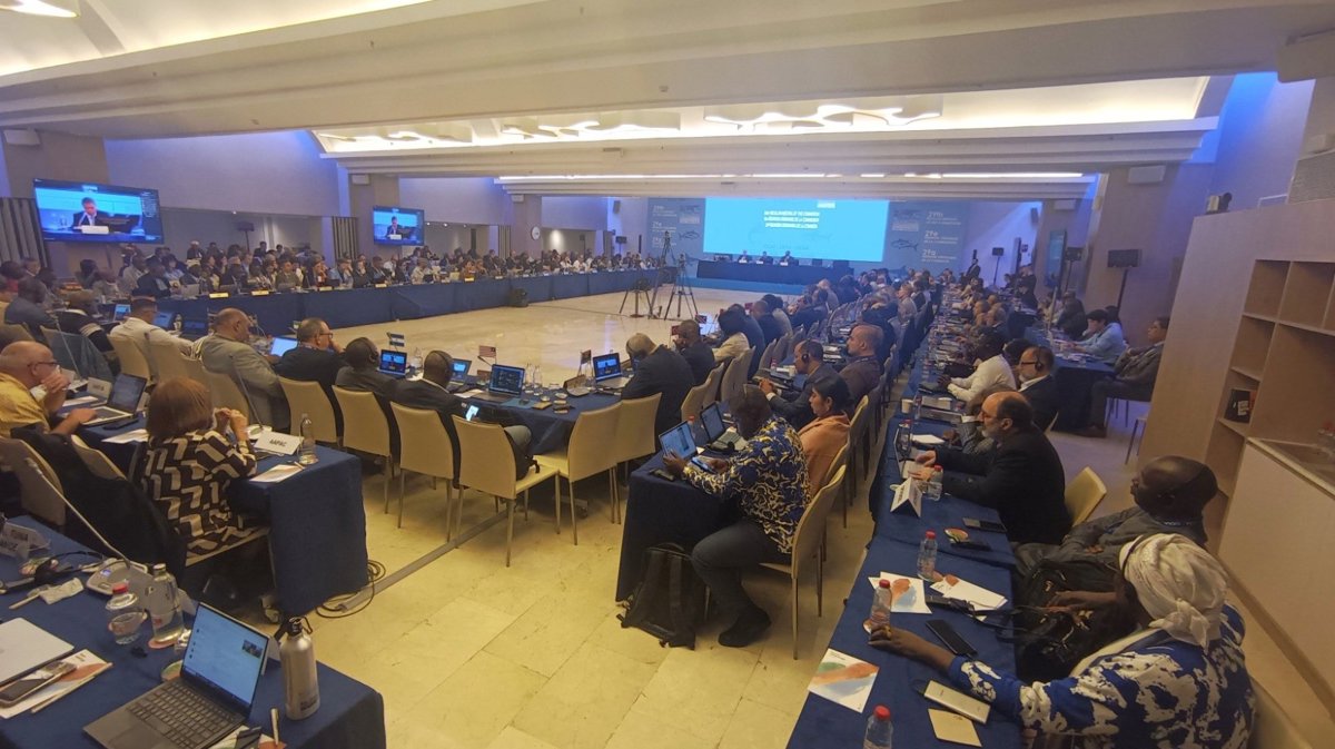 29ª reunión ordinaria de la comisión internacional para la conservación del atún atlántico (iccat).