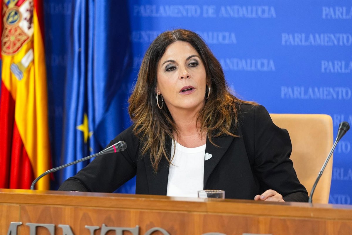 almería. psoe a anima a pp a a concentrarse ante diputación y pregunta a la junta por "contratos con la trama corrupta"