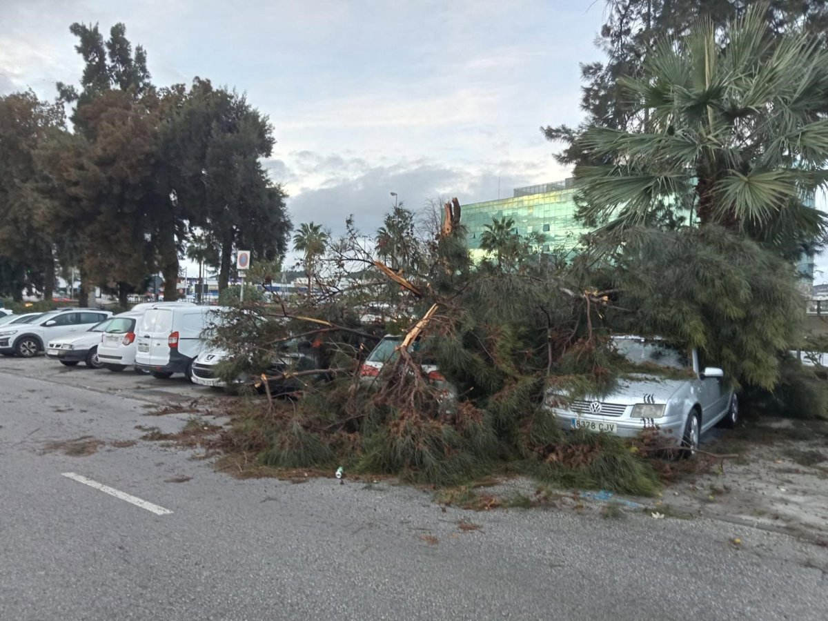 málaga. sucesos. un tornado en la costa de mijas derriba parte de alumbrado navideño, arranca árboles y arrastra barcos