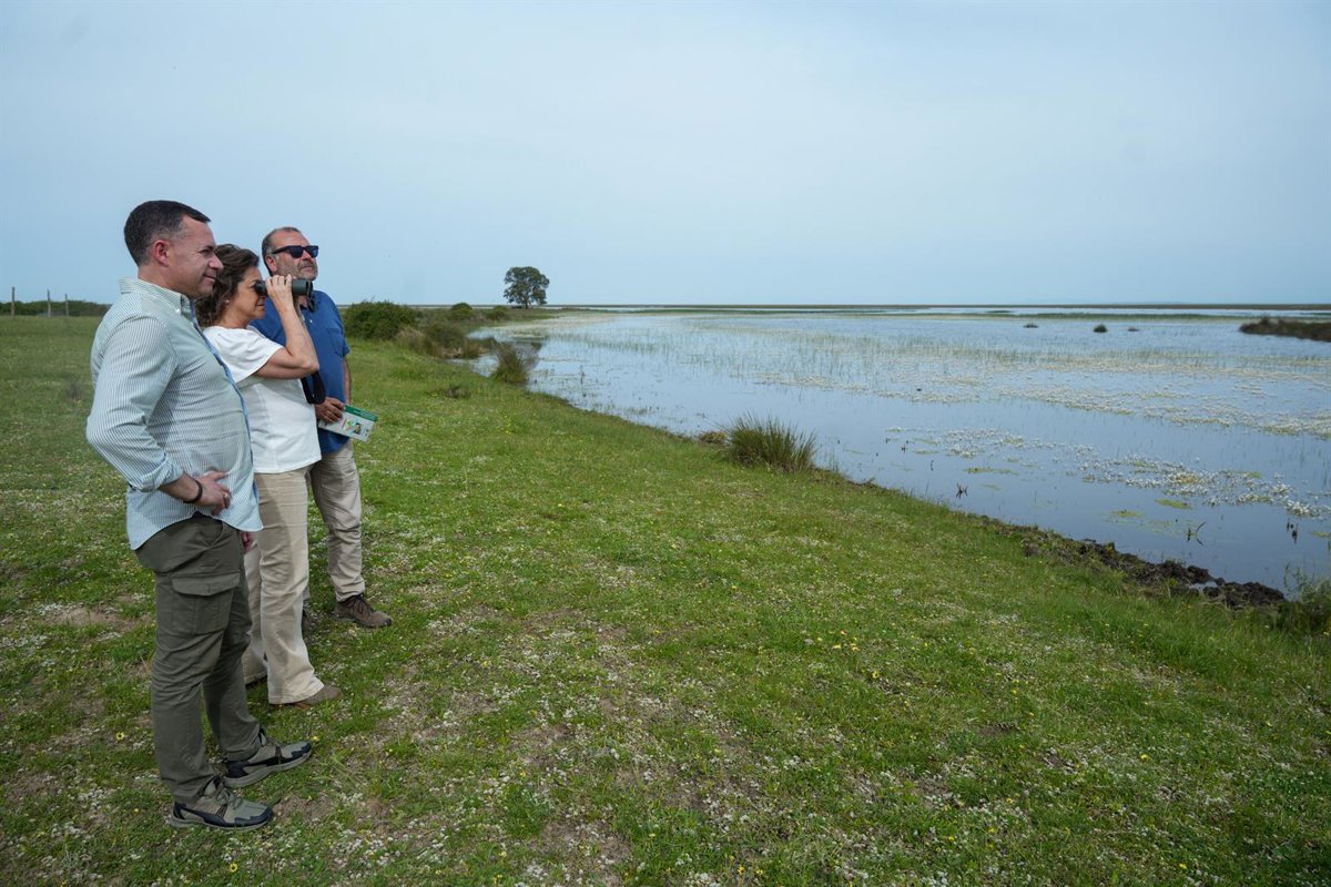la junta de andalucía requiere al gobierno que atienda a las alegaciones y retire el deslinde aprobado para doñana
