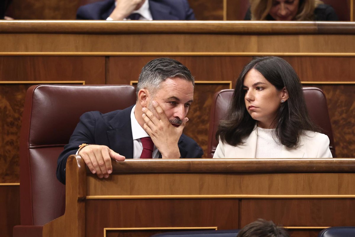 Vox pide devolver al Gobierno la ley de violencia vicaria y alega que la mayoría de los crímenes los cometen las madres