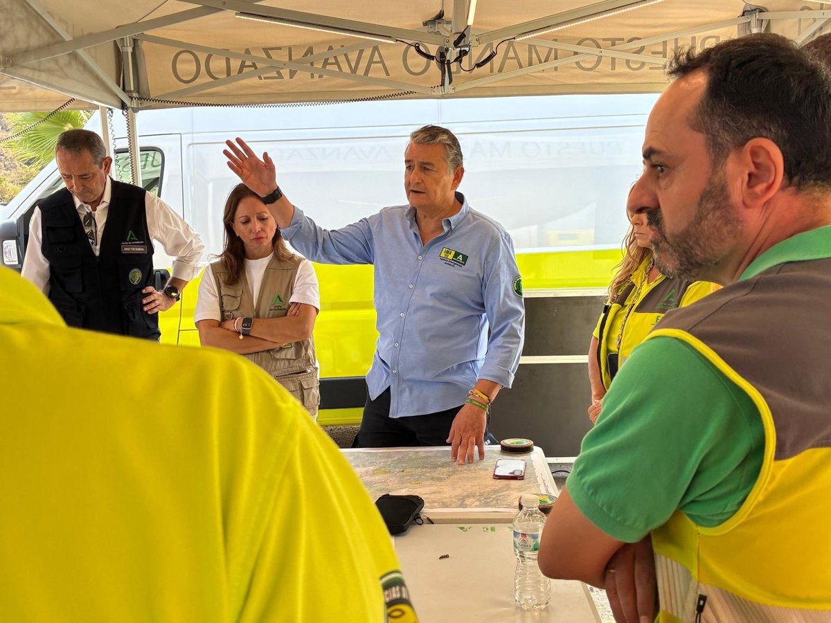 Sanz destaca «complicación» del incendio de Igualeja (Málaga) por fuertes vientos, pero «se aleja de la población»