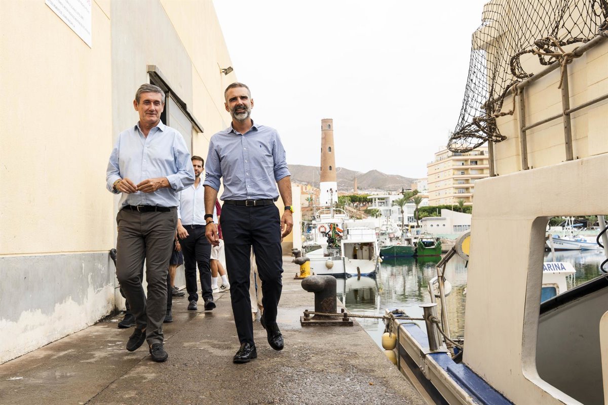 La Junta reclama que el Golfo de Cádiz participe en la renovación del plan de gestión de la sardina ibérica