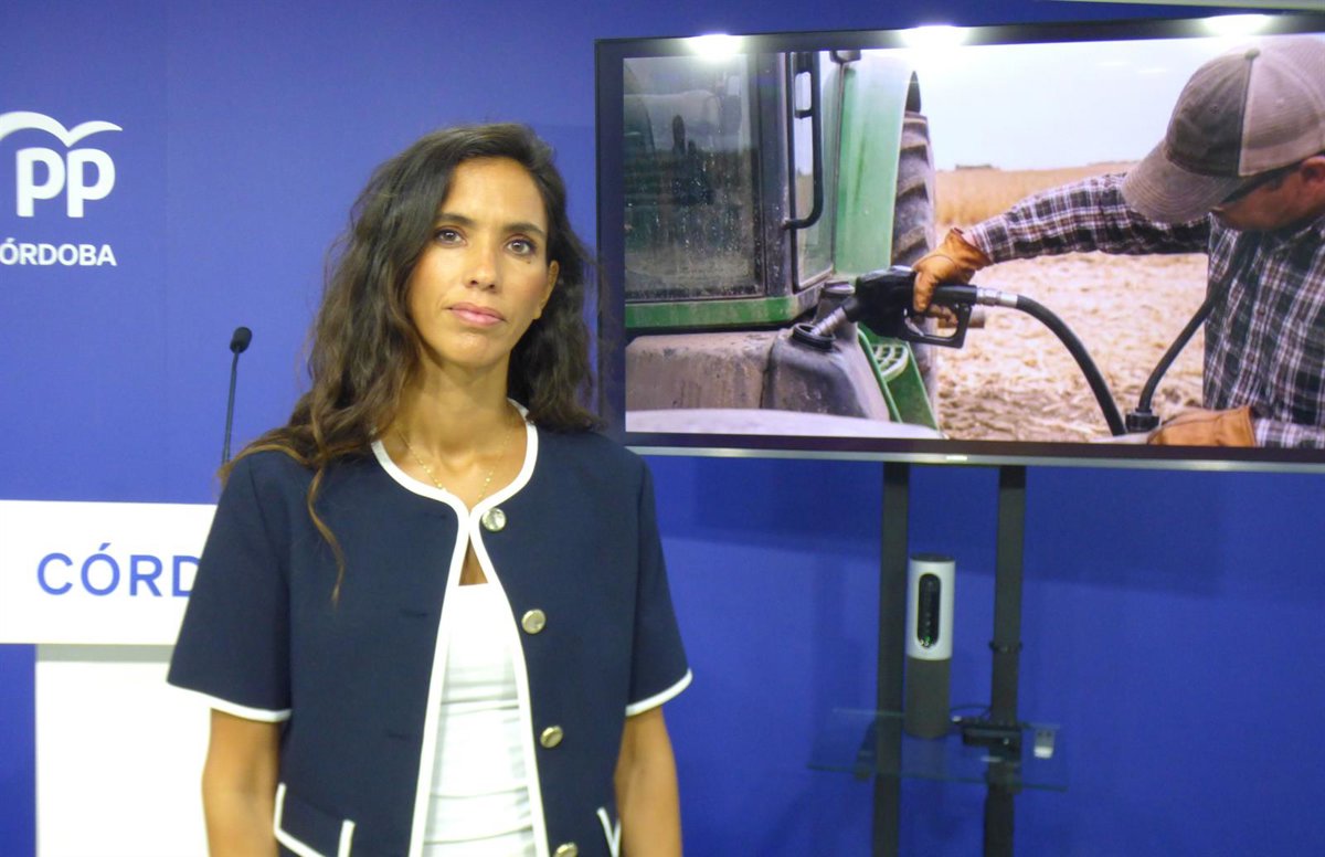 Lorena Guerra lidera la candidatura del PP de Córdoba al Congreso y Salvador Fuentes Lopera al Senado