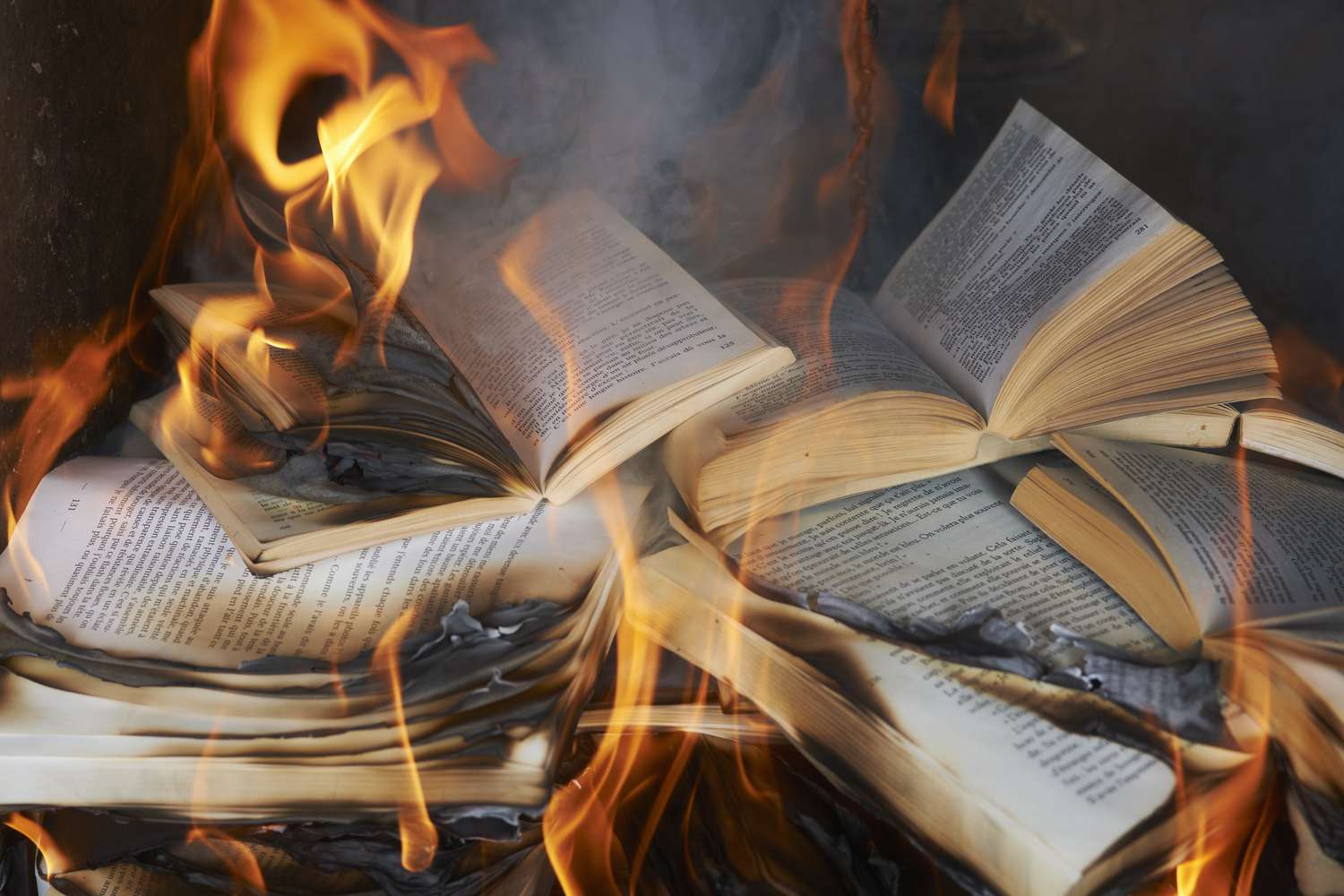 El libro, ese enemigo