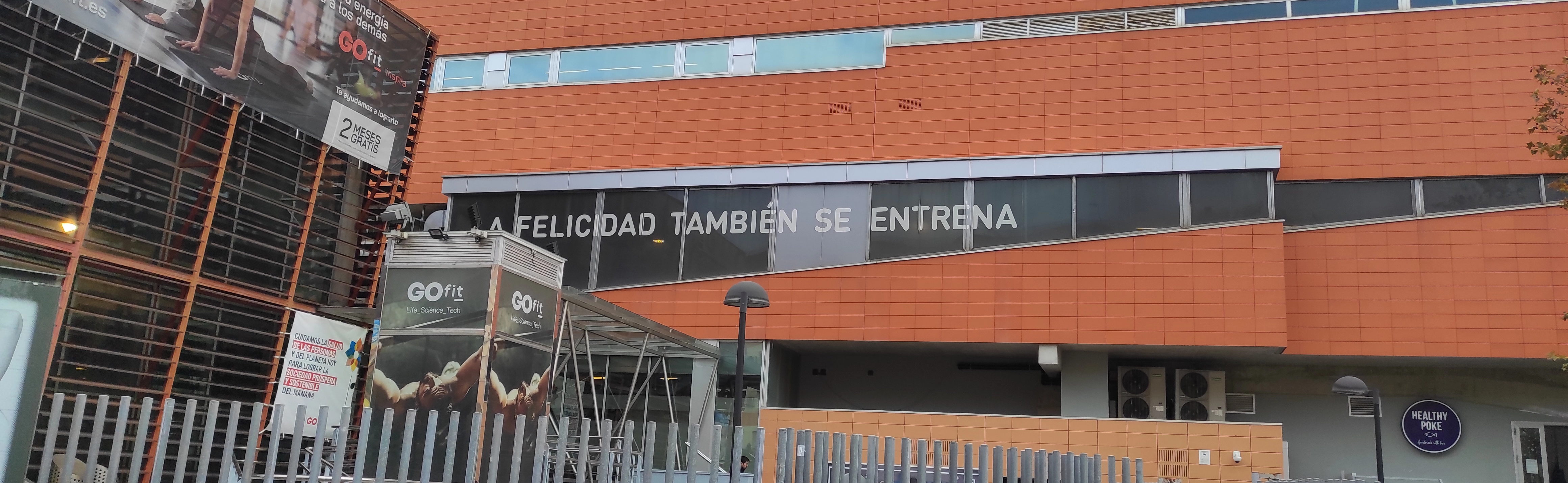 La ansiada felicidad